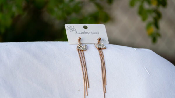 Diamond Swan - Image 2